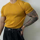 FOESCE Men Textured Stretch Training Knitted Short-Sleeved T-Shirt 2025 New Daily Sports Fitness Slim Fit Versatile Comfort Top For Men